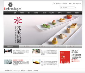 廣告咨詢(xún)服務(wù)公司企業(yè)網(wǎng)站整站設(shè)計(jì)——Vens2008作品展示